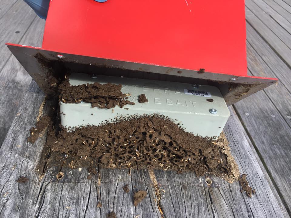 Exterra Termite Bait Box