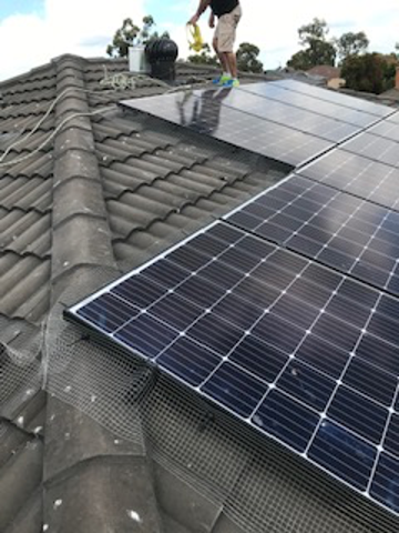 Bird-proofing-solar-panels-krpestcontrol
