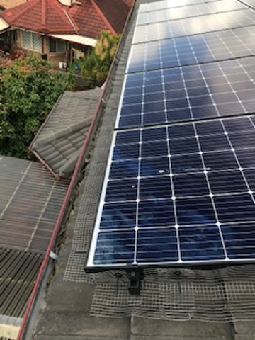 bird-proofing-solar-panels-kr-pest-control